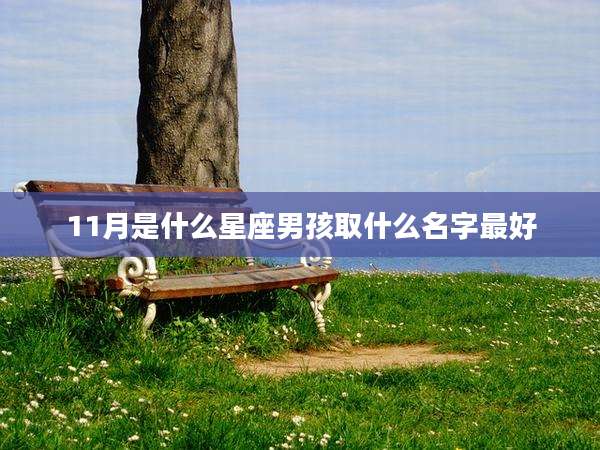 11月是什么星座男孩取什么名字最好