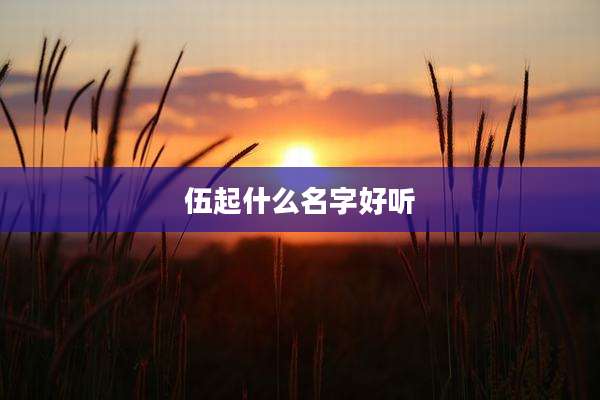 伍起什么名字好听