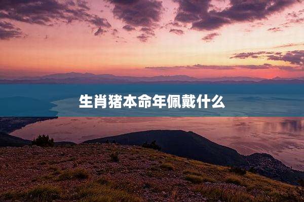 生肖猪本命年佩戴什么