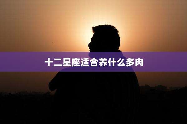 十二星座适合养什么多肉