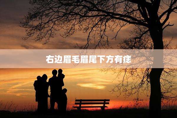 右边眉毛眉尾下方有痣