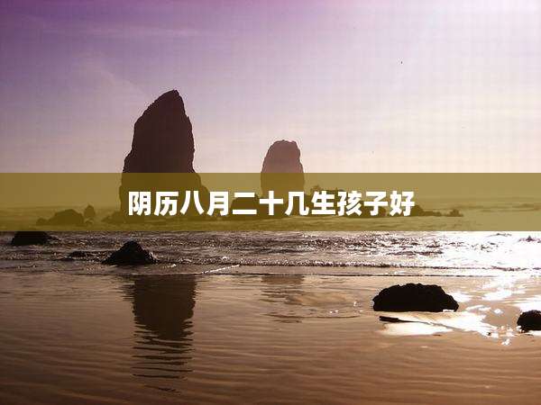 阴历八月二十几生孩子好