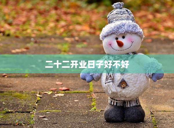 二十二开业日子好不好