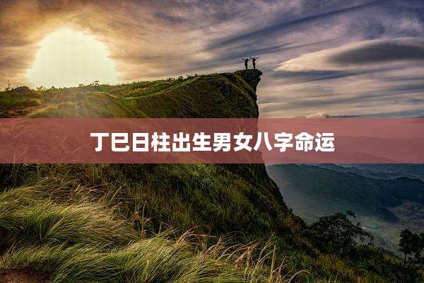 丁巳日柱出生男女八字命运