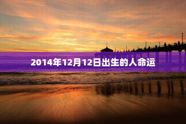 2014年12月12日出生的人命运