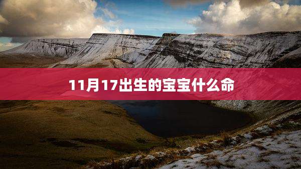 11月17出生的宝宝什么命