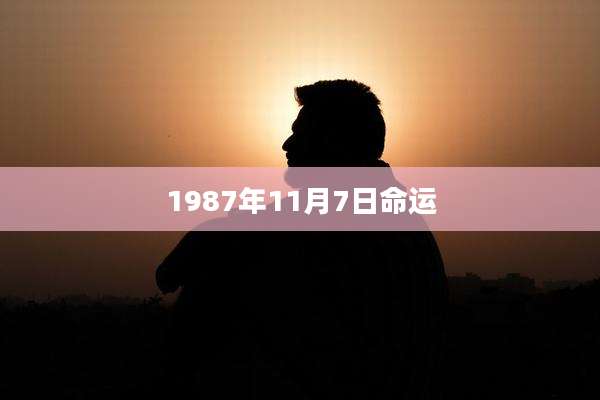 1987年11月7日命运