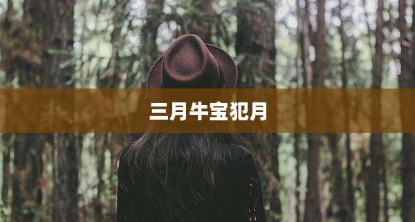三月牛宝犯月
