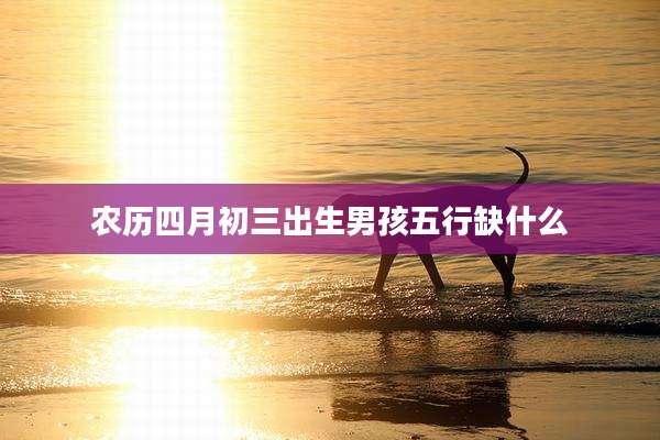 农历四月初三出生男孩五行缺什么