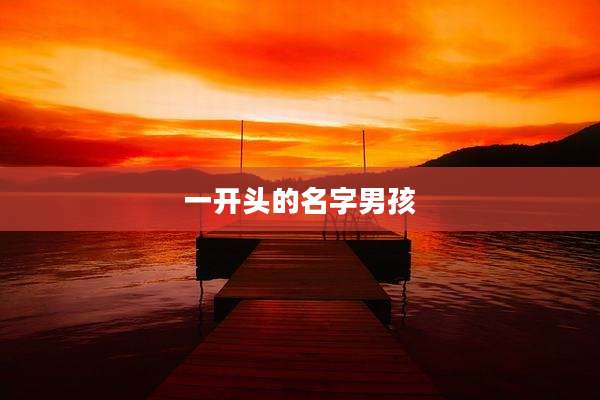 一开头的名字男孩