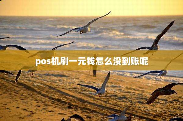 pos机刷一元钱怎么没到账呢
