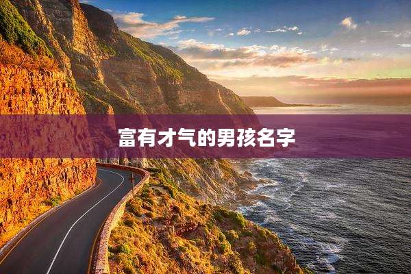 富有才气的男孩名字