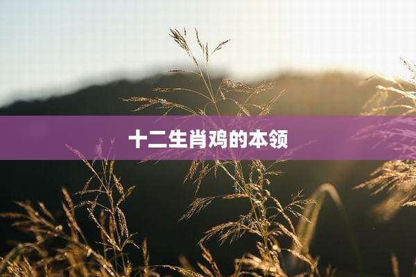 十二生肖鸡的本领