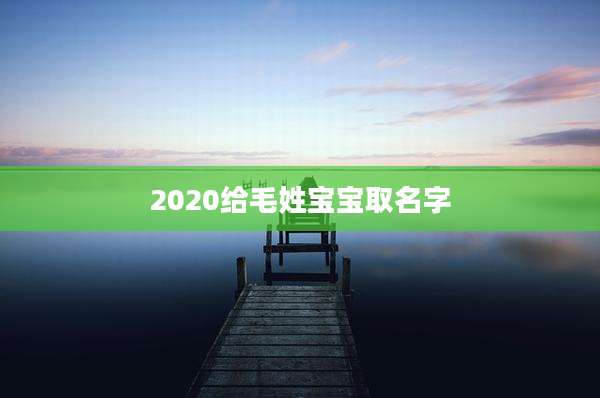 2020给毛姓宝宝取名字
