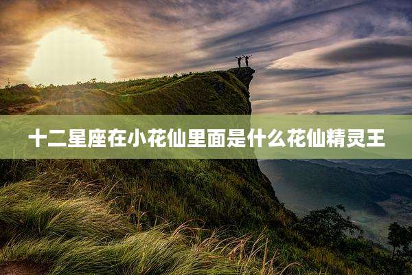 十二星座在小花仙里面是什么花仙精灵王
