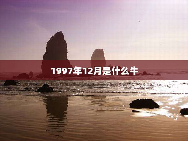 1997年12月是什么牛