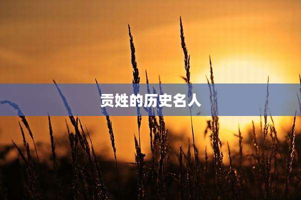 贡姓的历史名人