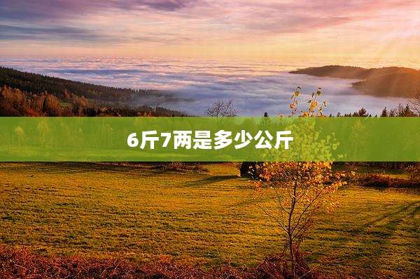 6斤7两是多少公斤