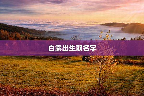 白露出生取名字