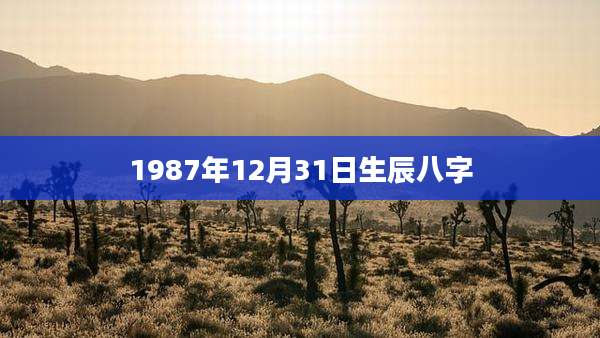1987年12月31日生辰八字