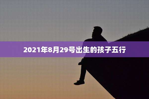 2021年8月29号出生的孩子五行