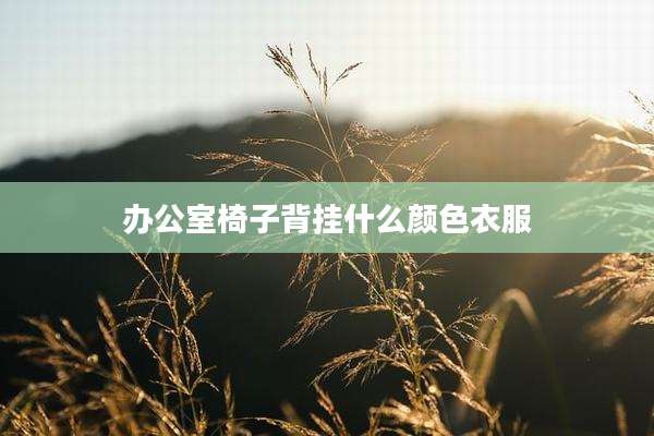 办公室椅子背挂什么颜色衣服