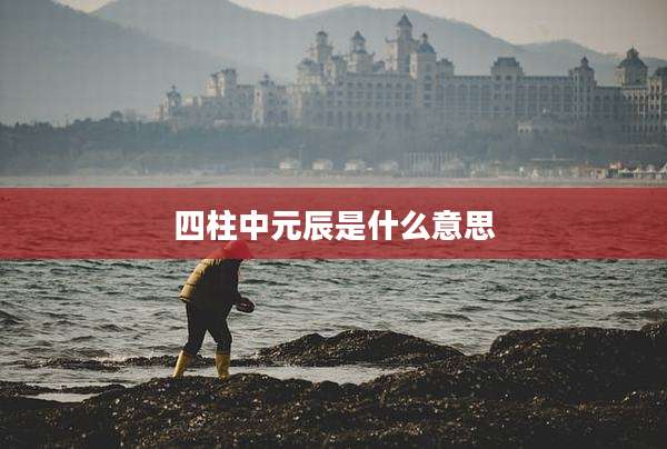 四柱中元辰是什么意思