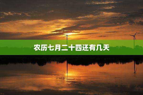 农历七月二十四还有几天