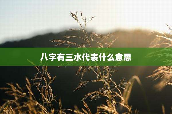 八字有三水代表什么意思