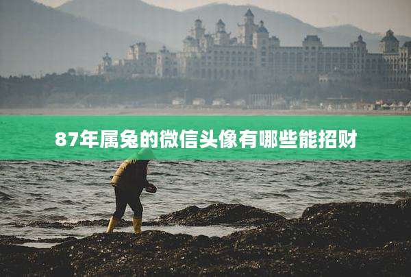 87年属兔的微信头像有哪些能招财