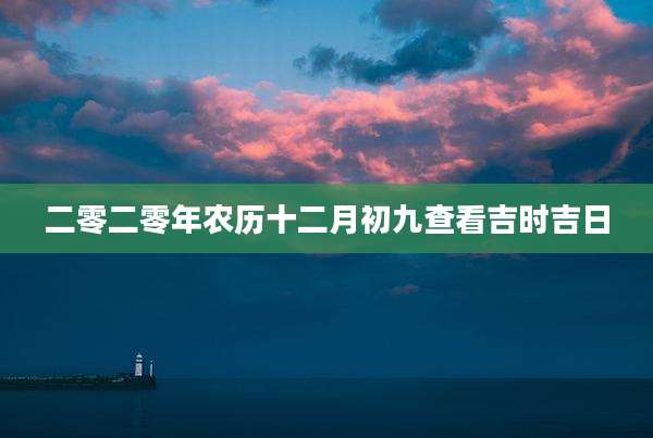 二零二零年农历十二月初九查看吉时吉日