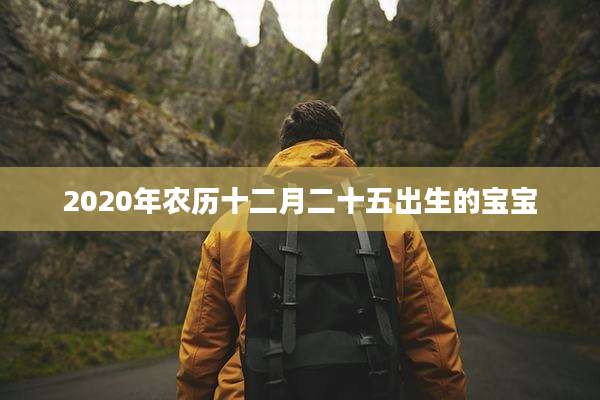 2020年农历十二月二十五出生的宝宝
