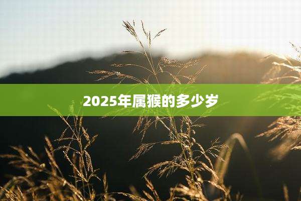 2025年属猴的多少岁
