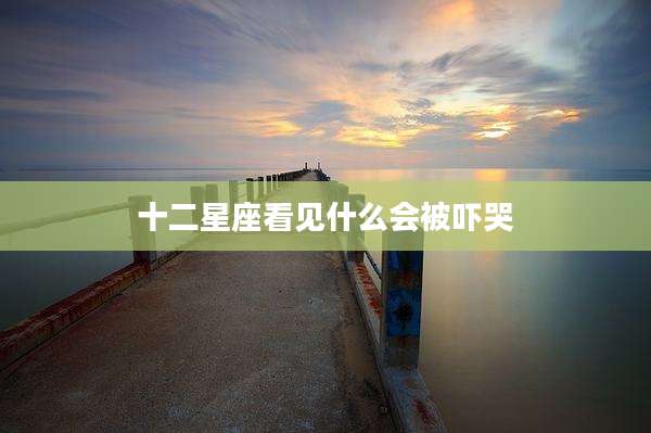 十二星座看见什么会被吓哭