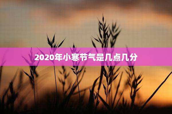2020年小寒节气是几点几分