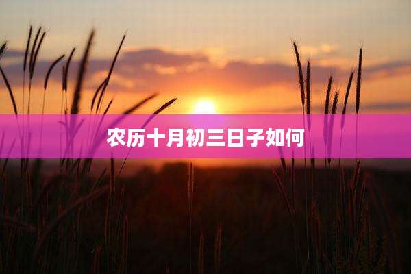 农历十月初三日子如何