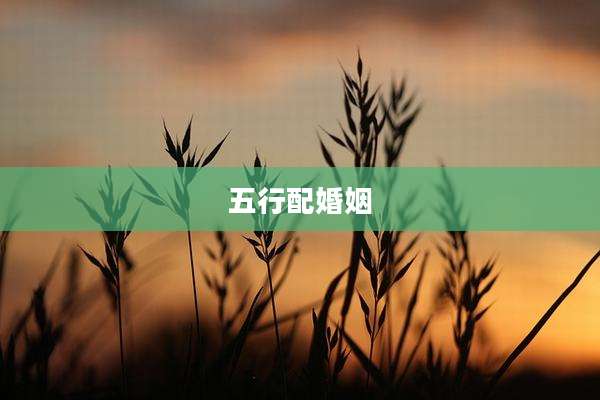 五行配婚姻
