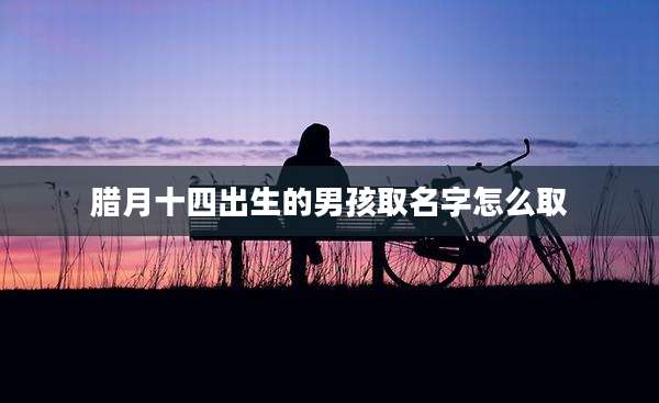 腊月十四出生的男孩取名字怎么取