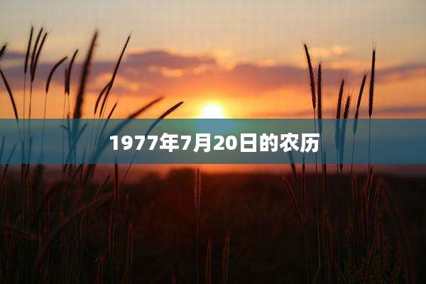 1977年7月20日的农历