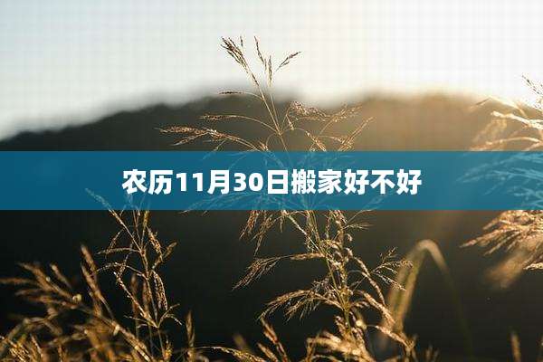 农历11月30日搬家好不好