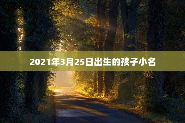 2021年3月25日出生的孩子小名