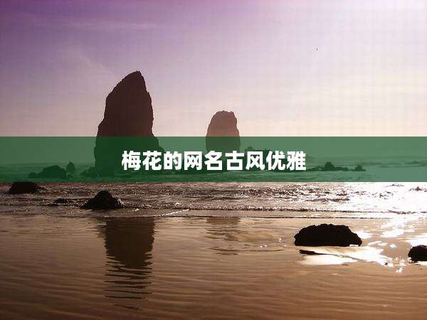 梅花的网名古风优雅