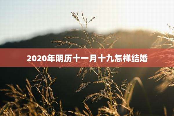 2020年阴历十一月十九怎样结婚