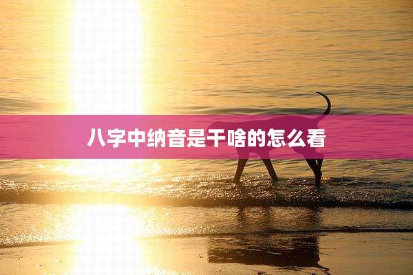 八字中纳音是干啥的怎么看