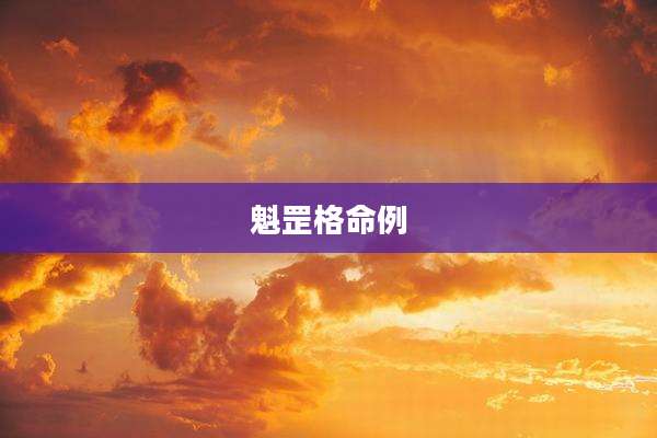 魁罡格命例