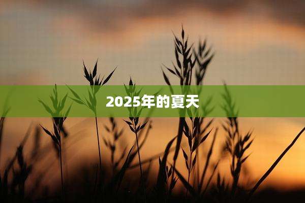 2025年的夏天