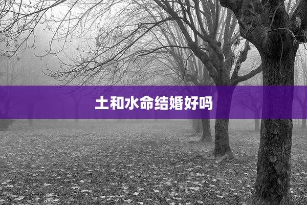 土和水命结婚好吗