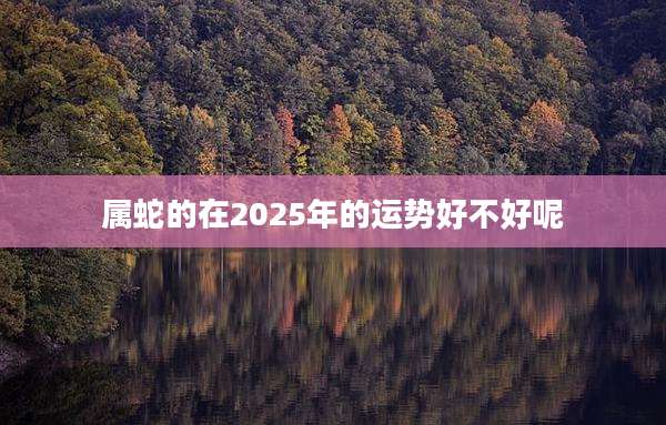 属蛇的在2025年的运势好不好呢