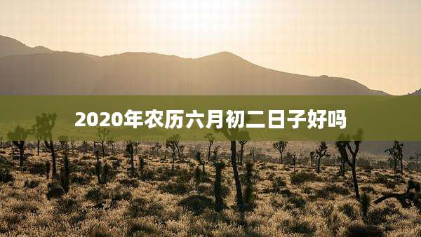 2020年农历六月初二日子好吗