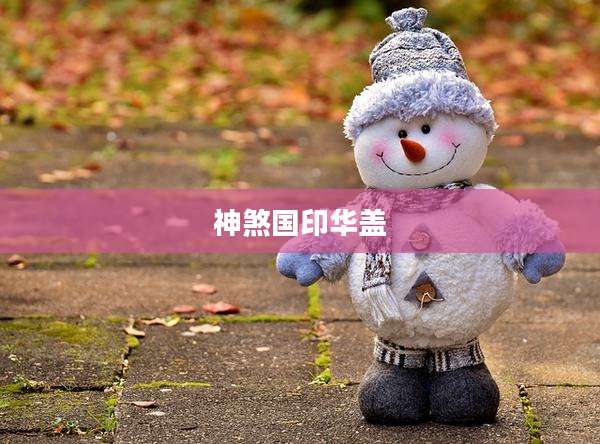 神煞国印华盖